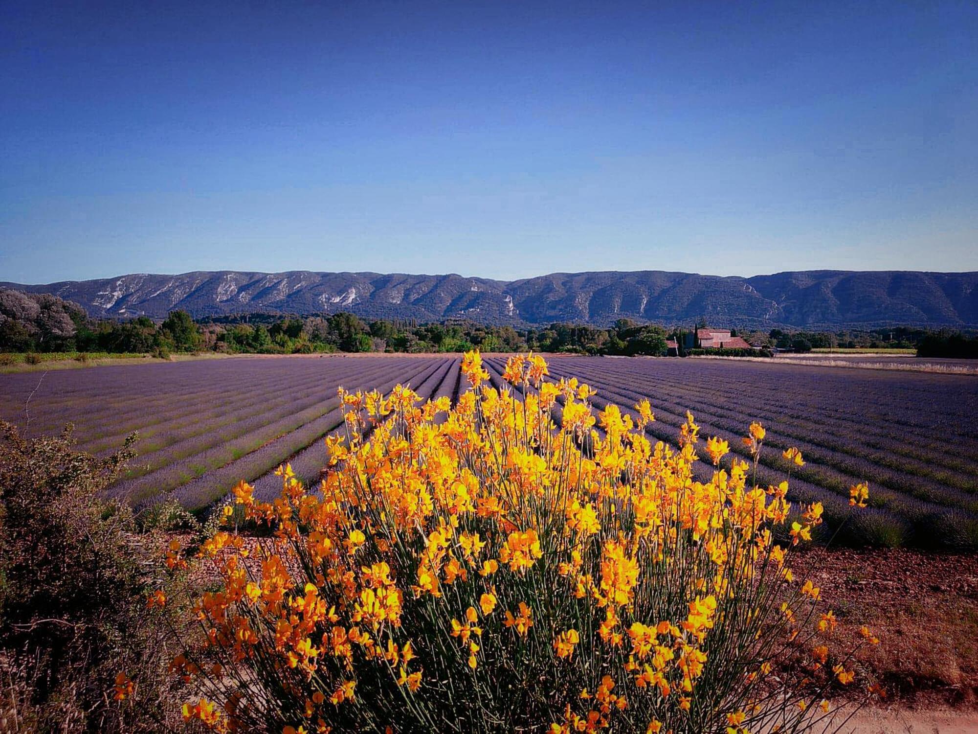 Le Mas De Roussillon Roussillon en Isere Exterior foto